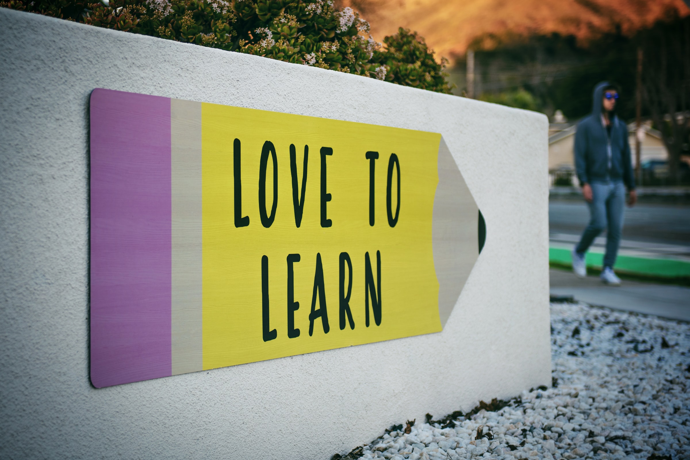 education-learn-love